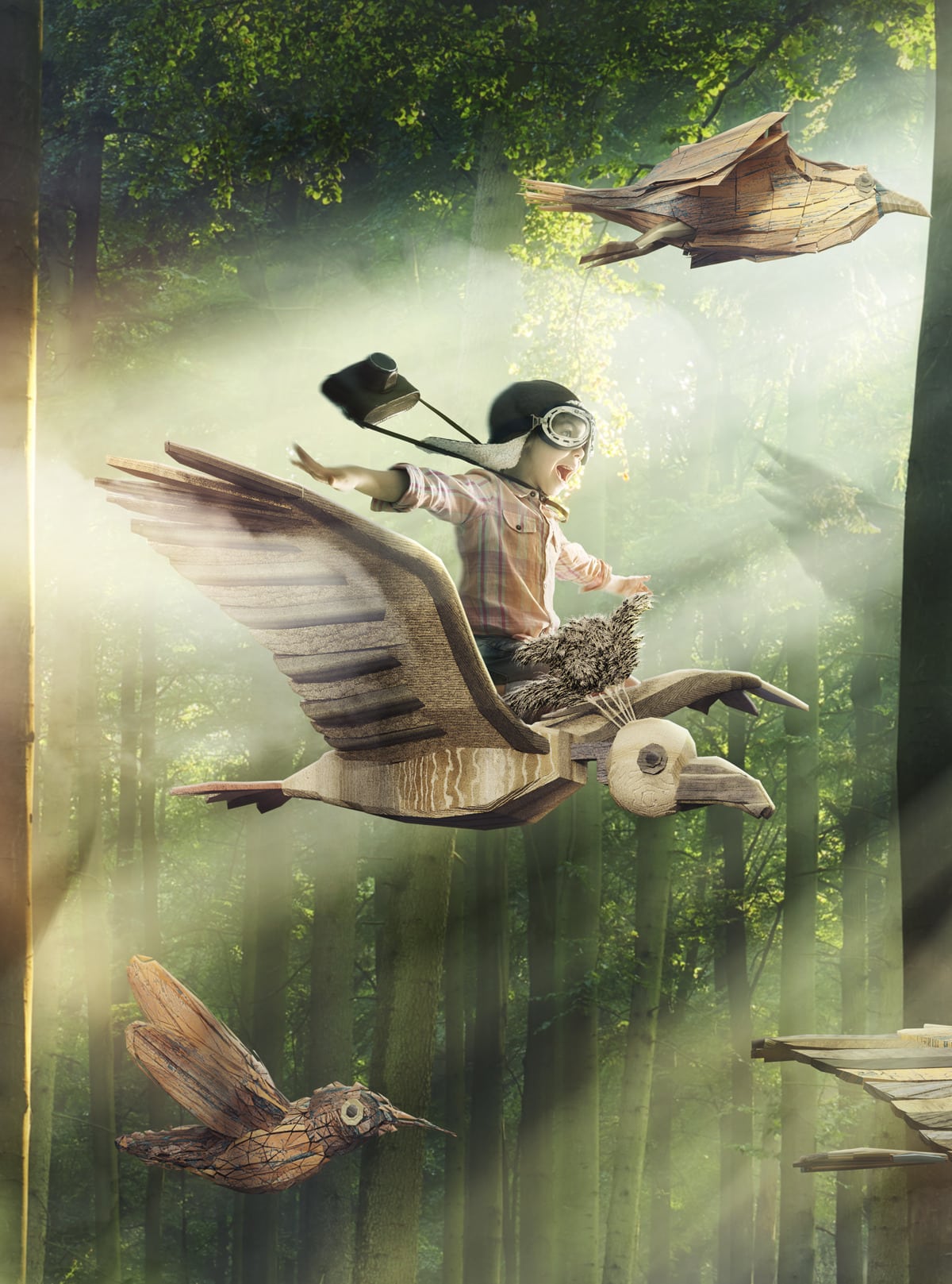 Visuel de l’affiche annonçant l’ouverture de  la canopee des oiseaux